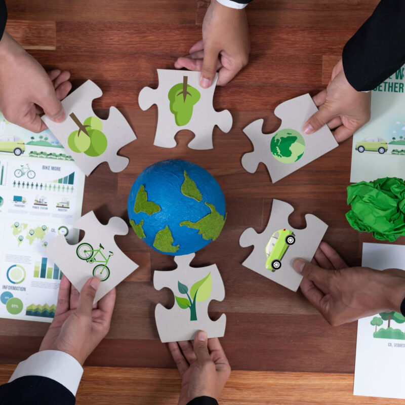 Impatto del Diritto Ambientale sulle Decisioni Aziendali